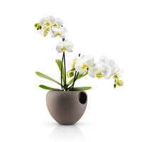 Горшок для орхидеи Orchid pot, коричневый