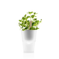 Горшок для растений с естественным поливом Herb pot 13 см., матовое стекло