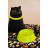 Контейнер + миска для кошки Kitt, черная