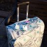 Чехол для чемодана SuitSuit Dollar