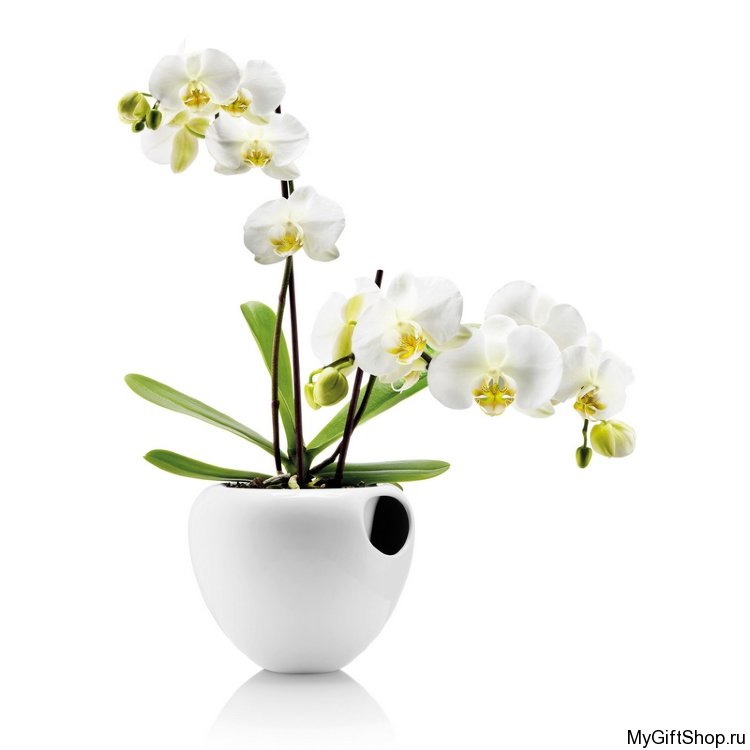 Горшок для орхидеи Orchid pot, белый